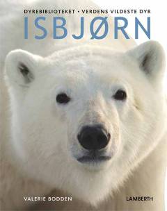 Isbjørn