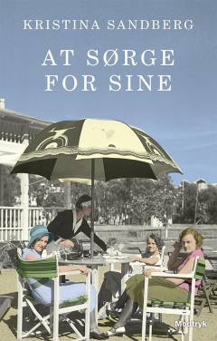 At sørge for sine. Bind 2 (Stor skrift)