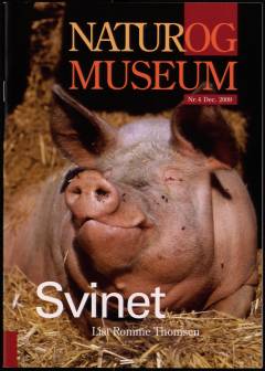 Svinet
