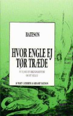 Hvor engle ej tør træde : på vej mod en erkendelsesteori om det hellige