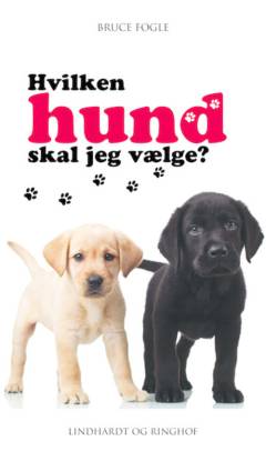 Hvilken hund skal jeg vælge?