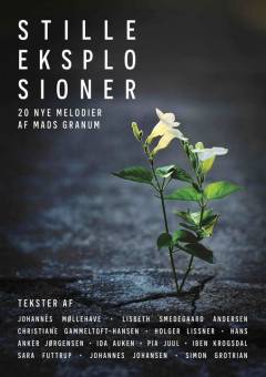 Stille eksplosioner : 20 nye melodier