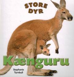 Kænguru