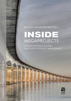 Inside megaprojects : understanding cultural practices in project management