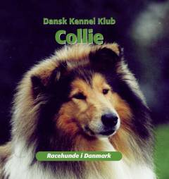 Collie