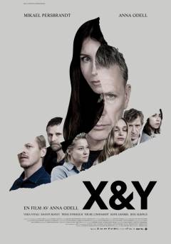 X&Y