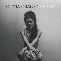 Shelter