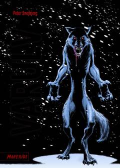 Bog, 1. udgave, 2013