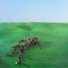Bright green field