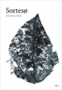 Forside til bogen Sortesø