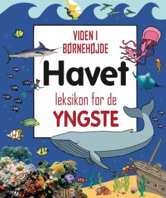 Havet : leksikon for de yngste