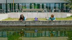 Dyr i by'r. 1:8 : Frø