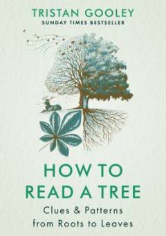 How to read a tree : clues and patterns from roots to leaves