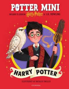 Potter mini - Harry Potter