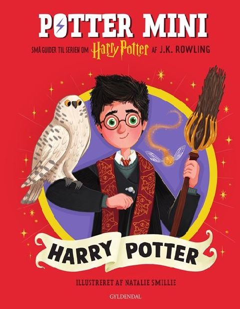 Potter mini - Harry Potter