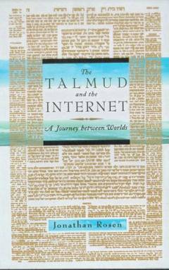 The Talmud and the Internet : a journey between worlds