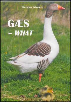 Gæs - what : om oplevelser, racer og avl
