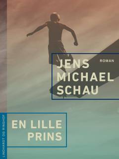 En lille prins : en roman