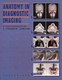 Anatomy in diagnostic imaging