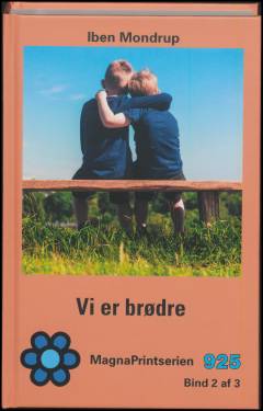 Vi er brødre. Bind 2 (Stor skrift)