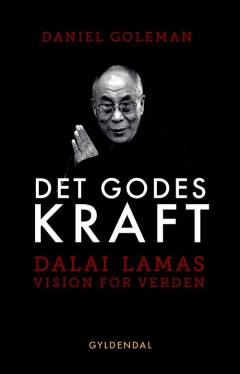 Det godes kraft : Dalai Lamas vision for en bedre verden