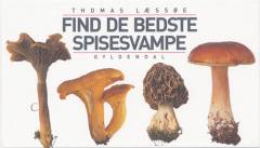 Find de bedste spisesvampe