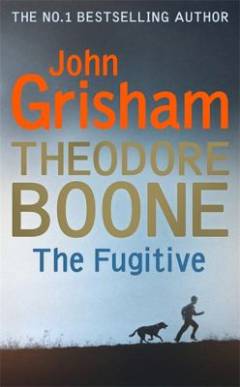 Theodore Boone - the fugitive