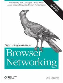 High performance browser networking