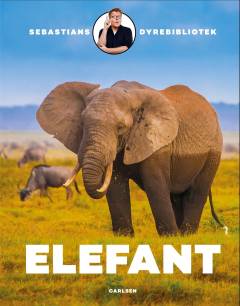 Elefant