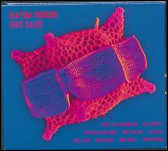Diatom ribbons