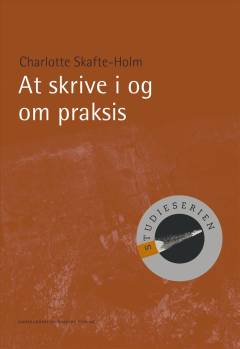 At skrive i og om praksis