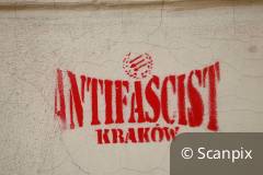 Højreekstremisme og nynazisme