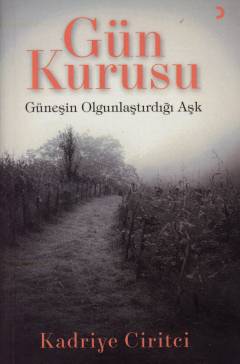 Gün kurusu : güneşin olgunlaştırdığı aşk