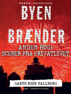 Byen brænder. 2. bog : Scener fra privatlivet : 1961-1976
