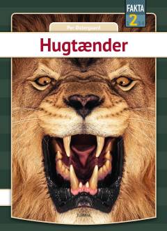 Hugtænder