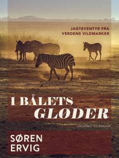 I bålets gløder : jagteventyr fra verdens vildmarker