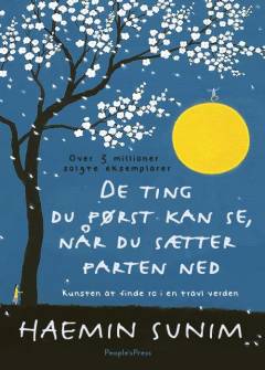 De ting du først kan se, når du sætter farten ned : kunsten at finde ro i en travl verden