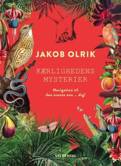 Kærlighedens mysterier : navigation til den eneste ene - dig!