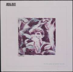 For the sake of Bethel Woods