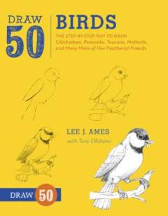 Draw 50 birds : the step-by-step way to draw chickadees, peacocks, toucans, mallards, and many more of our feathered friends