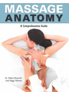 Massage anatomy : a comprehensive guide