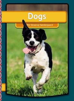 Dogs