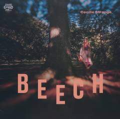 Beech