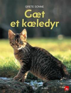 Gæt et kæledyr