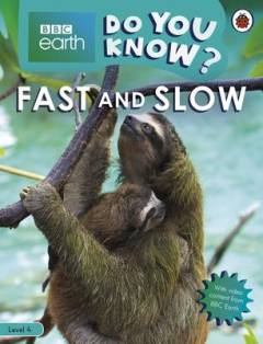 Fast and slow