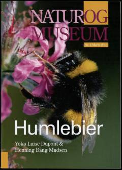 Humlebier