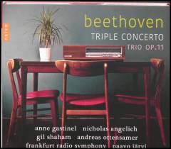 Triple concerto