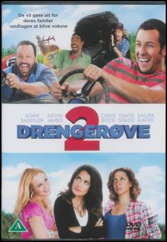 Film (dvd), 2013