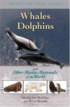 Whales Dolphins and other marine mammals of the world