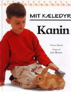 Kanin